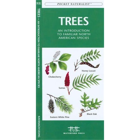 Trees Book: An Introduction To Familiar North American Species